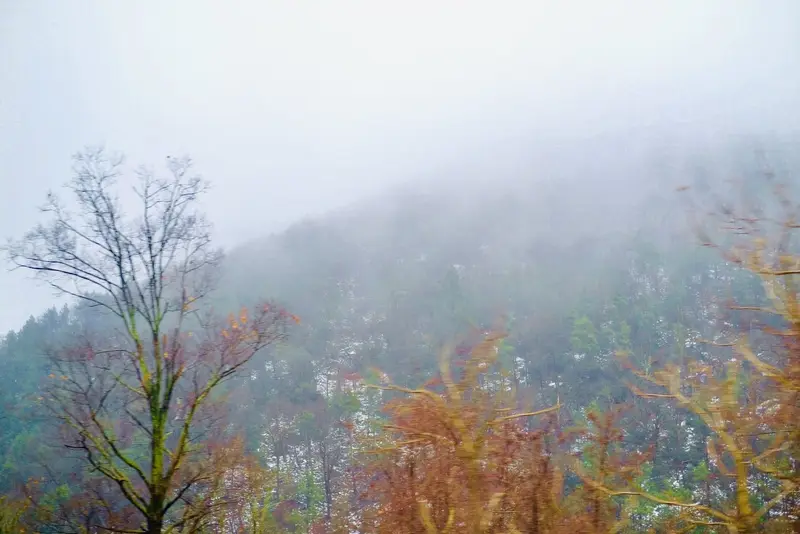 Fog over autumn hillside
